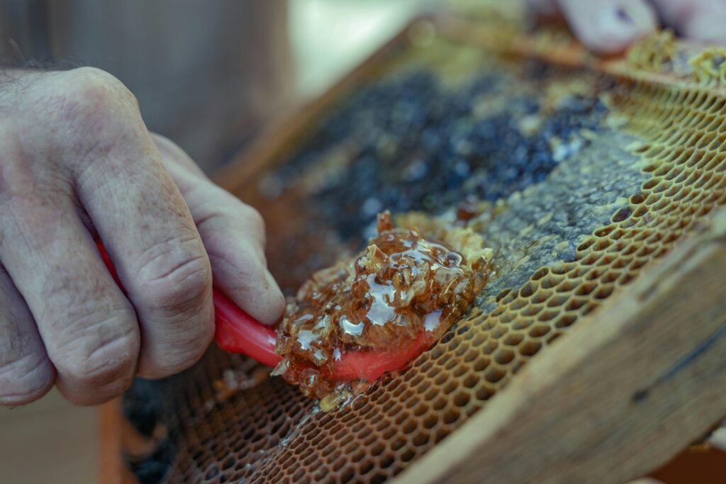 Imagem em close-up da coleta de mel em favos de mel em Damasco, demonstrando técnicas tradicionais de apicultura.
